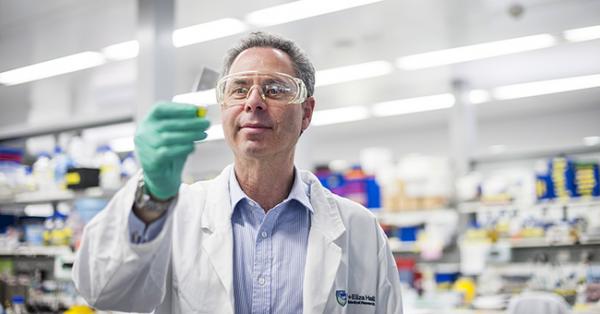 Professor Geoff Lindeman in a WEHI lab, looking at a slide.